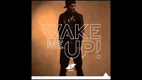 Avicii ft. Aloe Blac - Wake Me Up