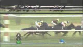 【競馬】2009年 第54回 京阪杯 GⅢ プレミアムボックス