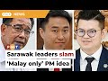 Sarawak leaders pan wan fayhsals malay only pm idea