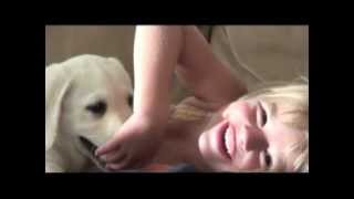 Lostdogville.com_Город потерянных собак Lostdogville.com_Город потерянных собак