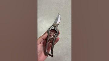 Kéo cắt cành Bông lúa Murahisa #0376628645 @dungcubonsaihaidu #hàngnhậtbãi #kéocắtcành #donghebai