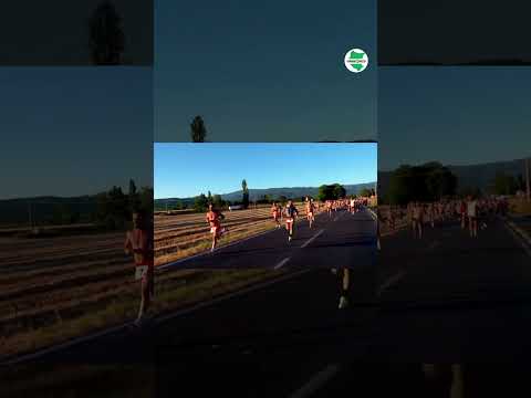 Video La partenza del Palio della Vittoria: botte e spintoni. Tutto è concesso