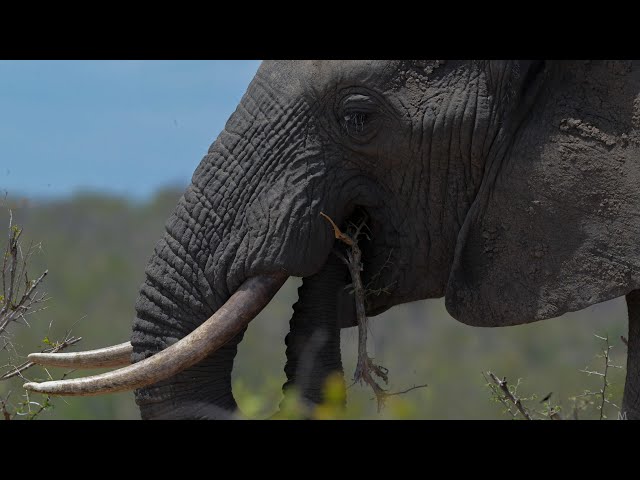 Dji Mavic 3 Cine & Nikon Z9  |  Enduring Hope - Daniel Deuschle .