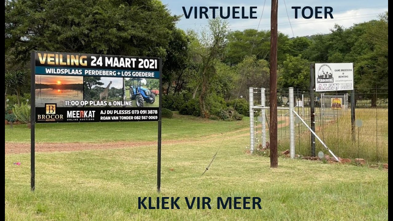 Perdeberg Veiling 24 Maart 2021 - Modimolle