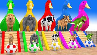 3D Animal Racing Slide Cow Gorilla Hippo Game screenshot 5