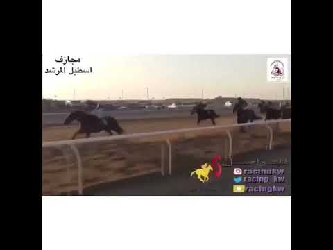 أنتصار اسطبل المرشد بالبطل مجازف