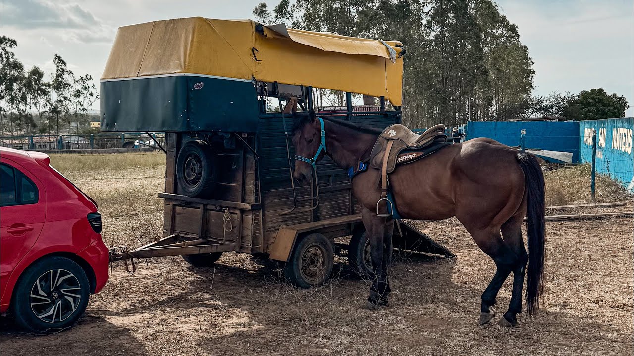 SONHO REALIZADO - ESSE É O MEU NOVO TRANSPORTE 🚚🐴