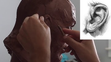 How to sculpt the ear