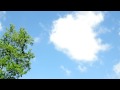 おおい雲よ