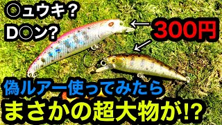 偽リュウキ、偽Dコン】激安中華ミノーで渓流ベイトフィネス【まさかの