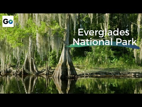 Video: Der Everglades National Park Ist Ebenso Schön Wie Expansiv