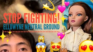 Unboxing / In-depth Review for Ellowyne Neutral Ground by Robert Tonner at Virtual Doll Convention screenshot 1