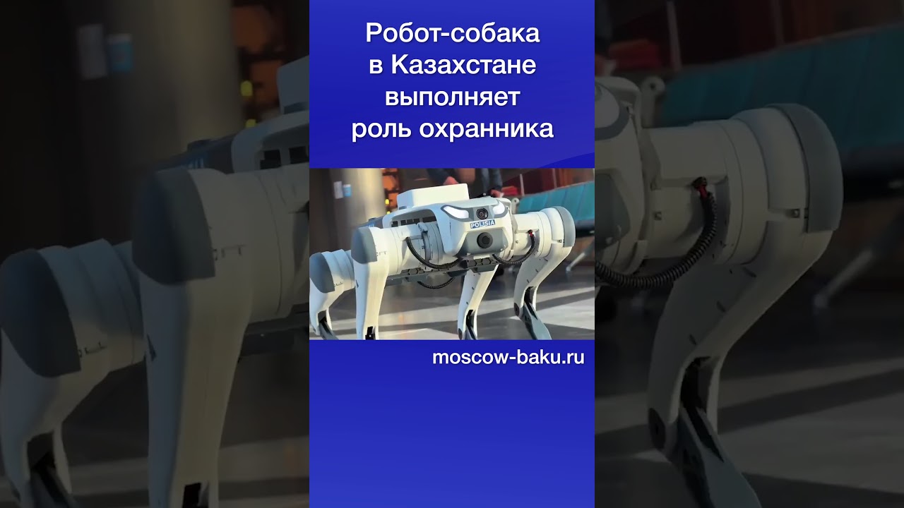Робот-собака в Казахстане выполняет роль охранника