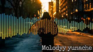Victoria Niro - 🎶 Молодий юначе 🎶 (Aspect Remix)