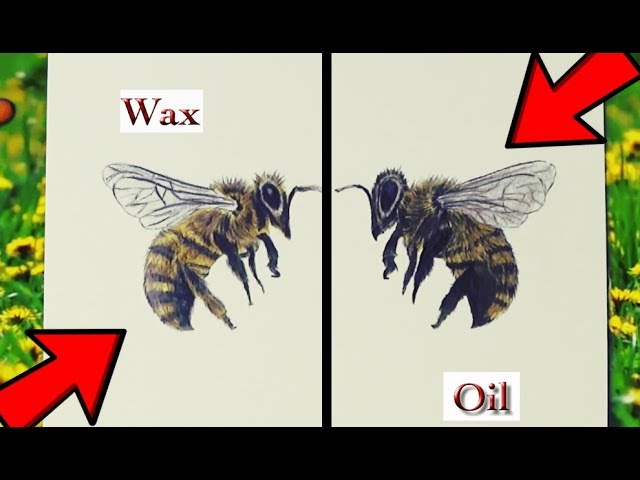 Wax-based Colored Pencils vs. Oil-based Colored Pencils