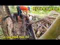 Cả Gia Đình Rắn Hổ Mang Trú Ẩn Trong Góc Dừa Mục Nát Bị Tóm Sống | Thú Vui 3 Miền