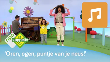 HOOFD, SCHOUDERS, KNIE EN TEEN | Kinderliedjes zingen met Fenna | NPO Zappelin