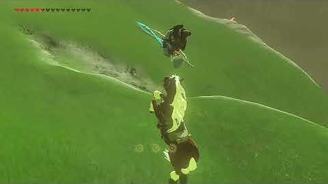 [DAY 562] of finding one korok seed everyday until Botw2 comes out