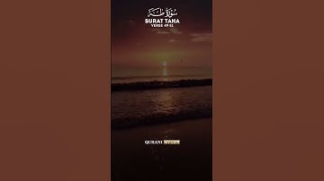 قال فمن ربكما يا موسى من سورة طه القارئ عبد الرحمن مسعد Surah Taha Abdul Rahman Mosaed