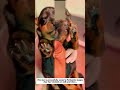 Saving Sweet Baby #animals #lovestory #rescue #cute #animalrescue#dog #puppy #rottweiler