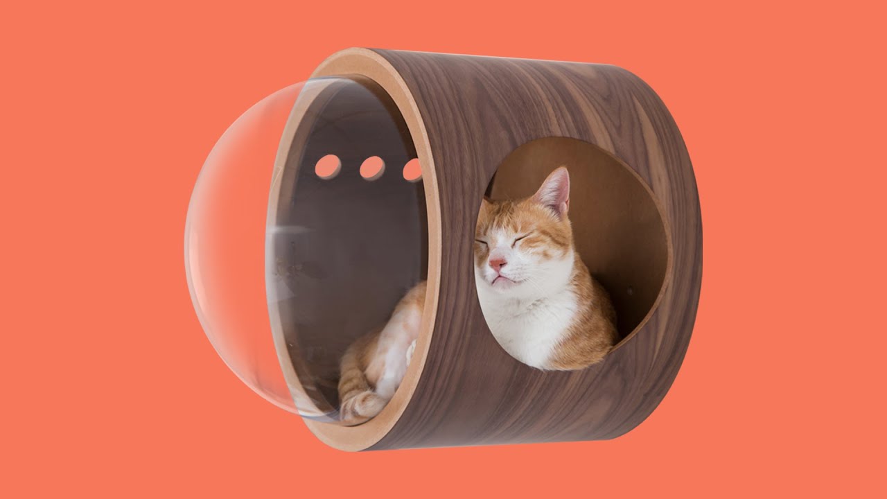 Myzoo] 극강의 귀여움 마이주 원목 고양이 우주선 하우스