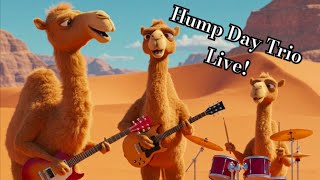 Hump Day Trio Live! at Idle Hour 02/26/25 Set 3