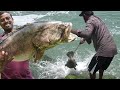 കൈ ചൂണ്ടയിൽ 12 kg.... 😳😳/12 Kg Hamour Catch Through Hand Line From Sea