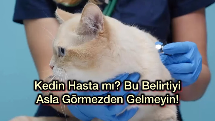 Kedin Hasta mı? Bu Belirtileri Asla Görmezden Gelmeyin!