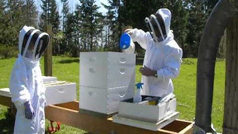 Video 4-  Installing the bee packages