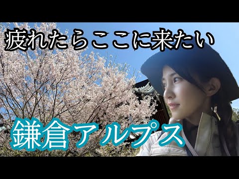 天園ハイキングコース