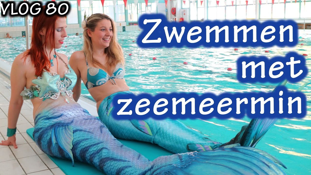 Zwammen Op De Eiken Boom In Het Bos Stock Photo - Download Image Now