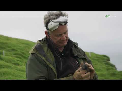 Видео: Исландия  Заповедник птиц