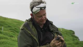 Исландия  Заповедник птиц