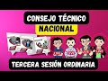 Soy Docente: CONSEJO TÉCNICO ESCOLAR NACIONAL (TERCERA SESIÓN)