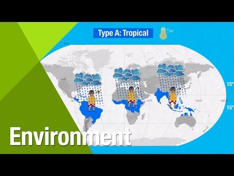 The Koppen System