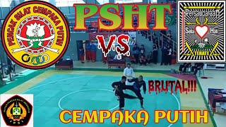 PSHT VS PSCP (Pencak Silat Cempaka Putih) || PANEN TANGKAPAN DAN GUNTINGAN - Lawan sampai emosi