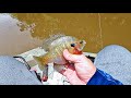 May bream fishing (Tensaw Delta)