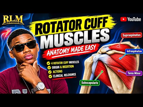 Rotator Cuff Muscles Made Easy | SITS Anatomy, Actions & Nerve Supply