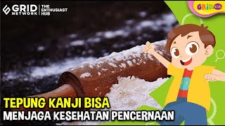 Kaya Akan Karbohidrat Ini 5 Manfaat Tepung Kanji Untuk Kesehatan