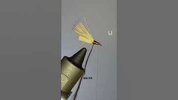 Puterbaugh Caddis | Fly Tying Tutorial