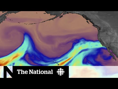 Video: How Rivers Depend On Climate