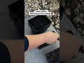 3 Weeks After Sowing… Here’s What Happened to My Cabbage 🥬