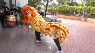 20120201 UTAR Chinese New Year Event: Lion Dance Performance
