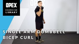 Single-Arm Dumbbell Curl  - OPEX Exercise Library
