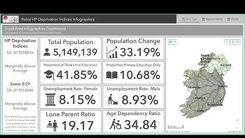 How to use the Community Profile Infographic
