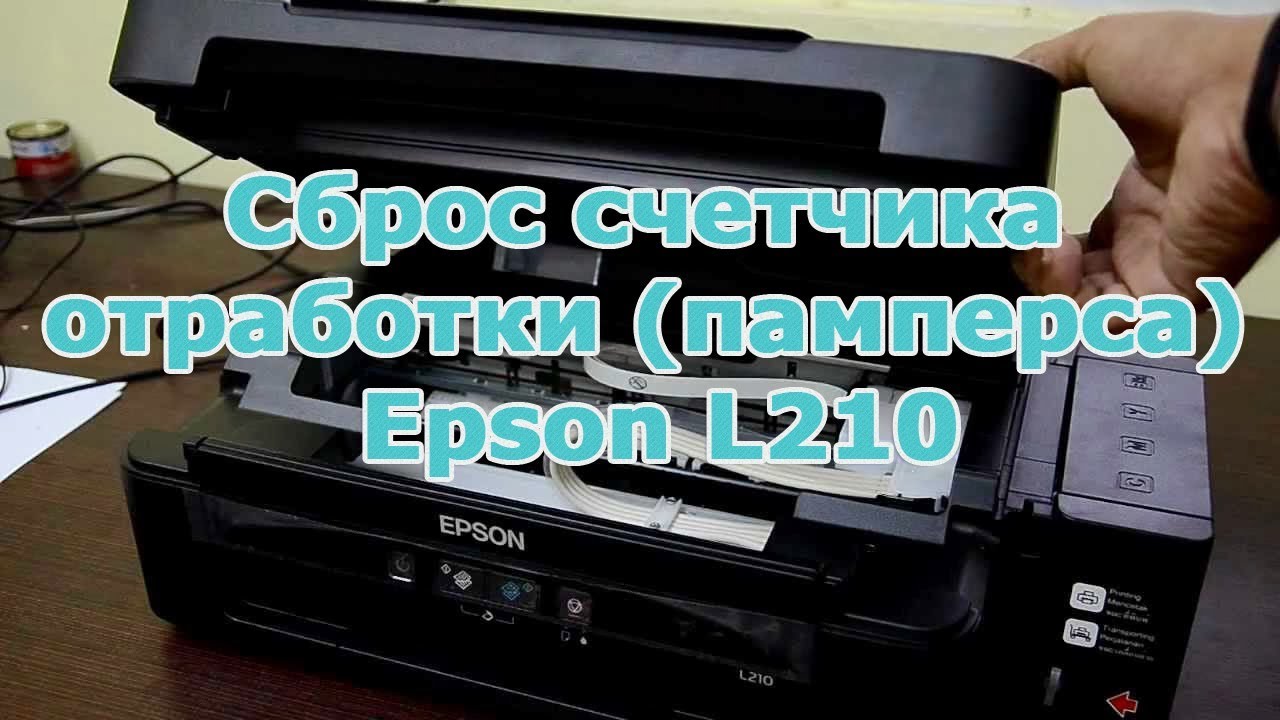 Як замінити памперс на принтері Epson L210?