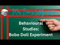 The Bobo Doll Experiment - Albert Bandura