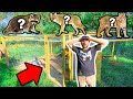 PREDATORS Broke into GIANT ANIMAL ENCLOSURE!!! - They're All Gone....RIP (We Caught the Predator)