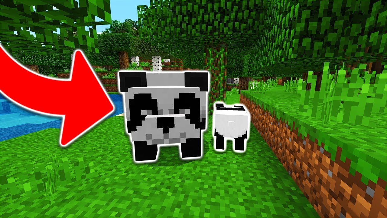 HOW TO SPAWN PANDAS in Minecraft Pocket Edition - YouTube