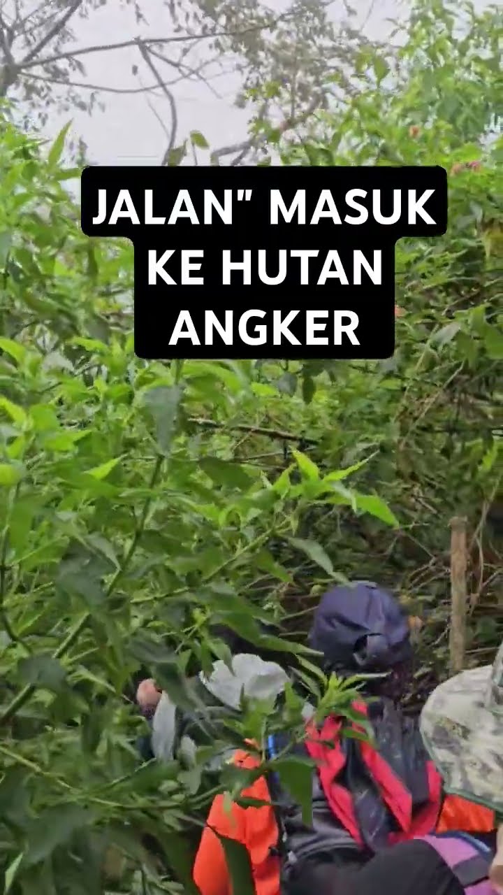 Jalan Kaki Ke Gn Mandalawangi